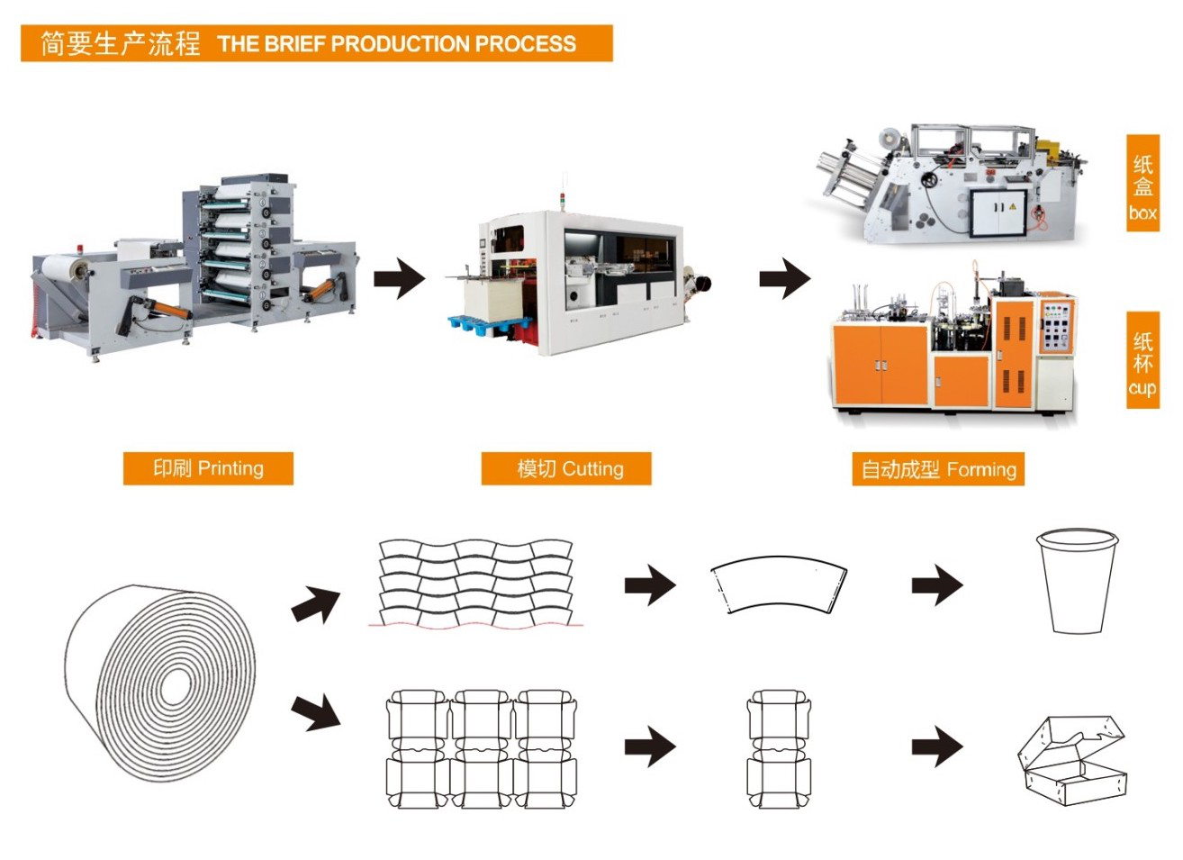 ®: Manufacture (Production) of Paper Cups & Supplier in